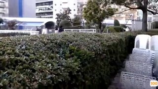 国内母子乱伦无套内射